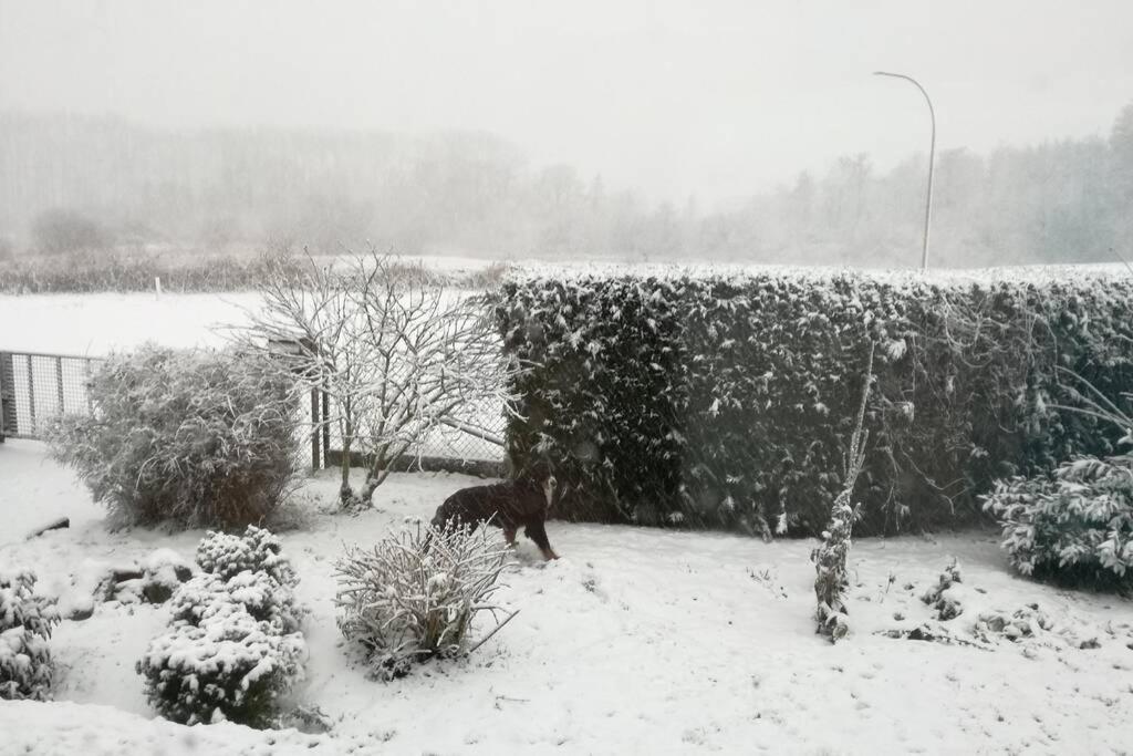 Scandinavie Vlak Bij Huis Villa Laarne Dış mekan fotoğraf