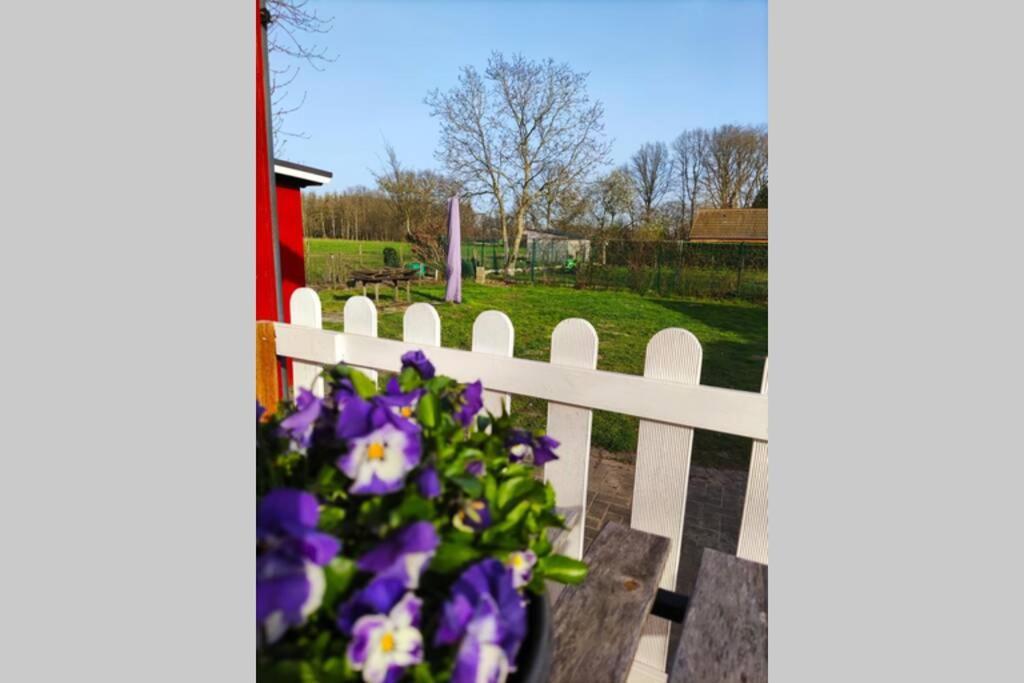 Scandinavie Vlak Bij Huis Villa Laarne Dış mekan fotoğraf